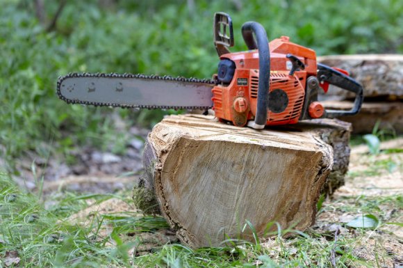 Abattage mécanisé d'arbres dans la Nièvre 