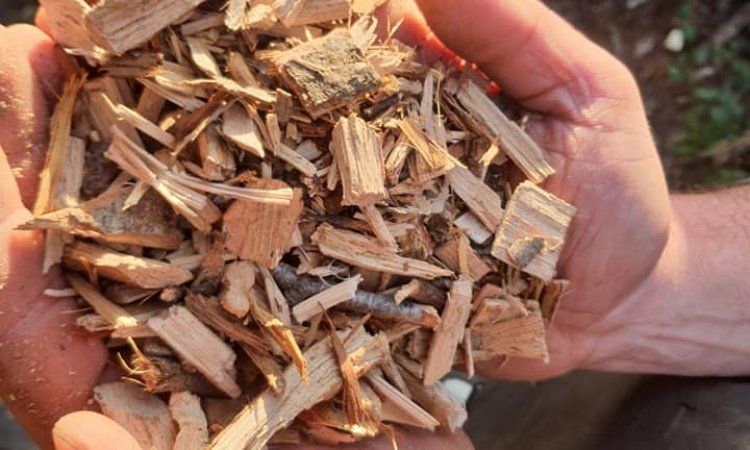 Broyage de bois : transformation en litière pour charolaises à Gueugnon